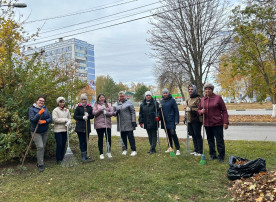 Осенний городской субботник Осенний городской субботник.