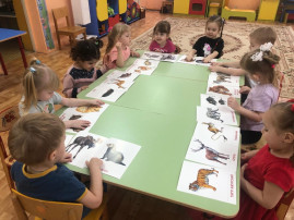 Знакомимся с дикими животными Знакомимся с дикими животными.